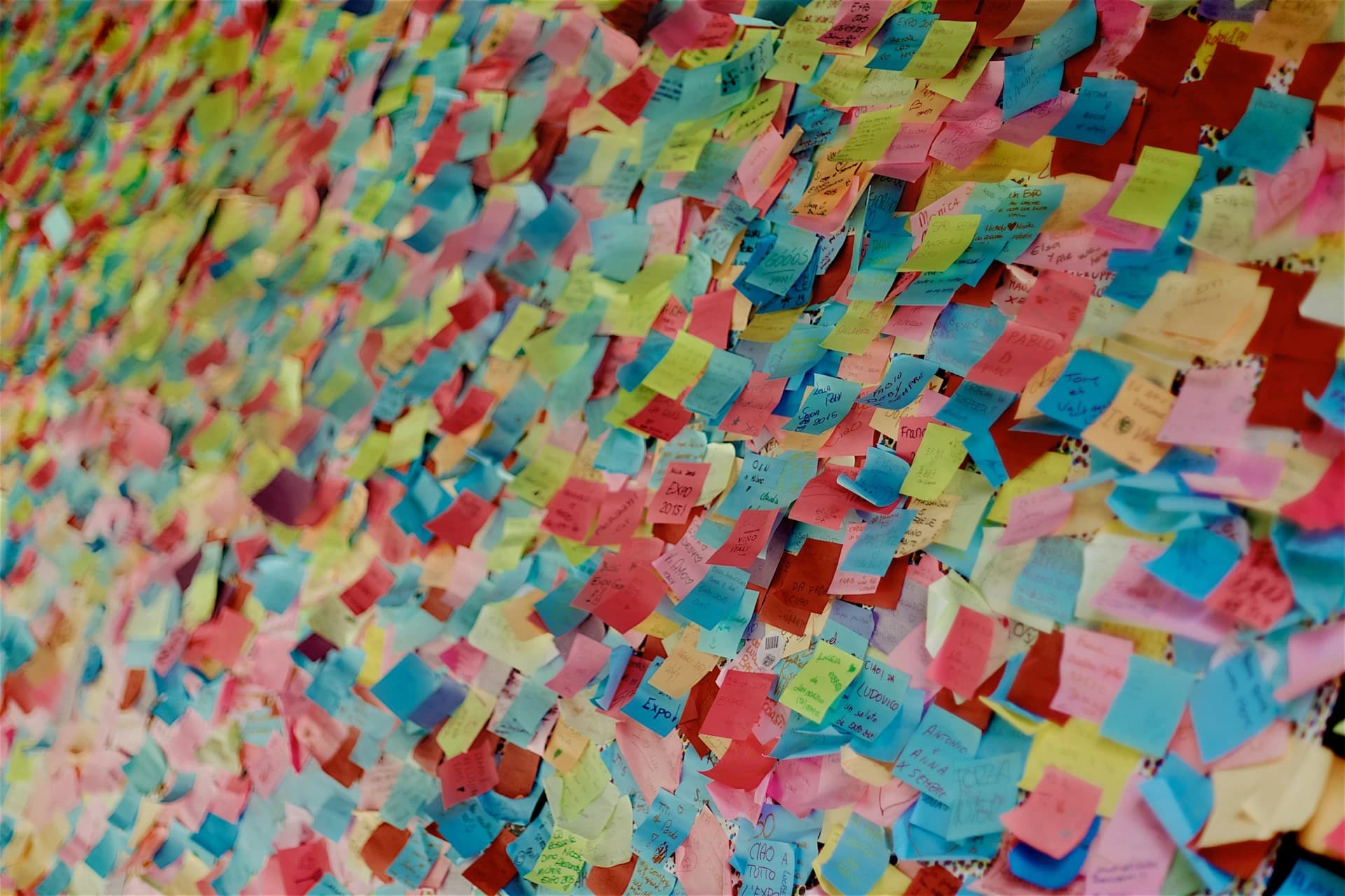 双语政策简报（Briefing Memo）样例