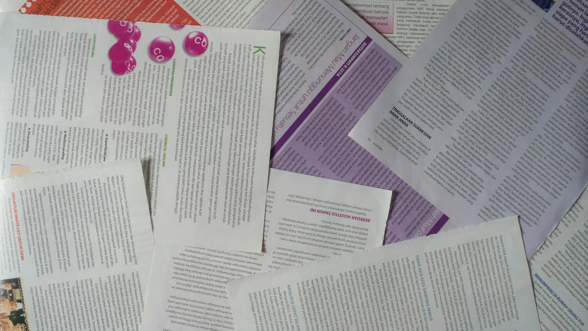 年度 Capstone 成果目录样例